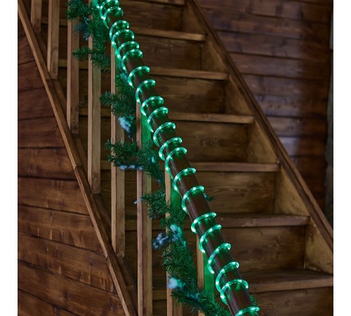 Шнур световой Uniel UL-00010909 ULD-D50 15M/С08 IP44