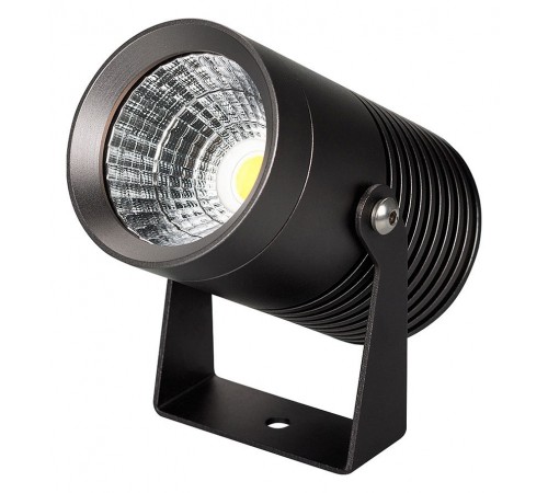 Настенно-потолочный прожектор Arlight 032558 Ray