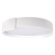 Накладной светильник Loft it 10200 White Coin