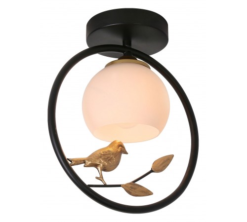 Накладной светильник Escada 1113/1P Black Song