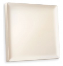 Клавиша для выключателя одноклавишного Quant AP3210