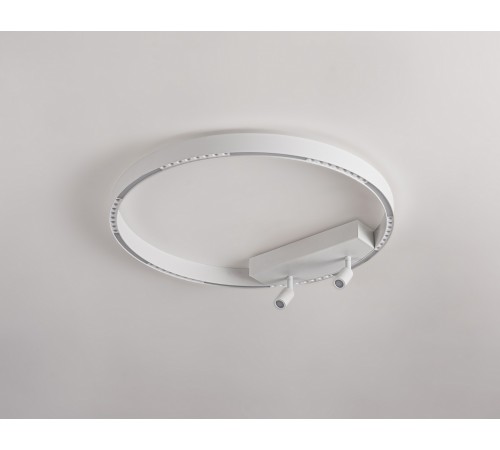 Накладной светильник Ambrella Light FL5807 FL