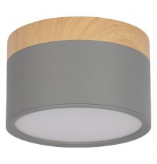 Накладной светильник Loft it 10162 Grey Grape
