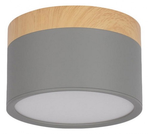 Накладной светильник Loft it 10162 Grey Grape
