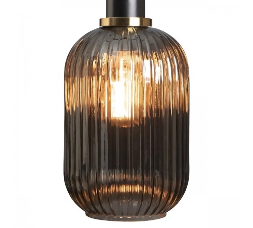 Подвесной светильник Loft it 2070-A+BL Iris