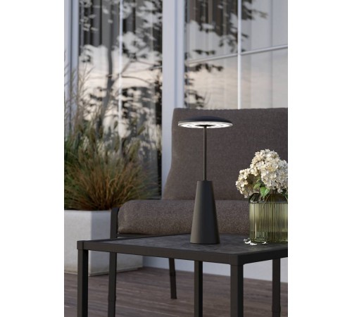 Настольная лампа декоративная Eglo 900925 PICCOLA