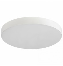 Накладной светильник Эра Relict 38 SPB-6-40 4К WH Relict