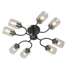 Потолочная люстра Vitaluce V2822-1/8PL V2822