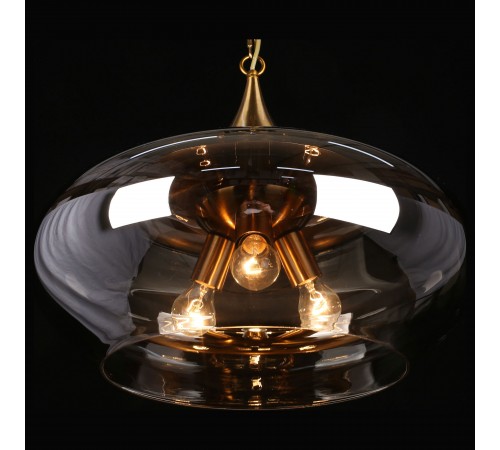 Подвесной светильник Aployt APL.601.16.03 Franko