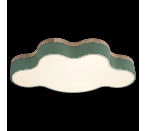 Накладной светильник Loft it 10005/30 Green Axel 4