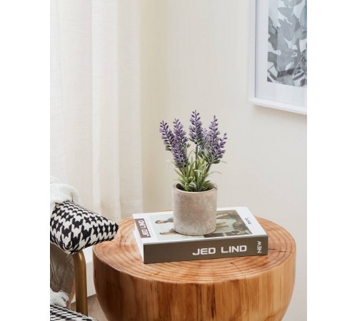 Растение в горшке (80x220) Chitose 428031