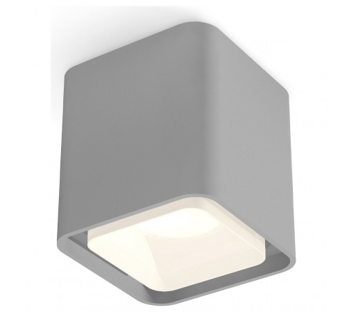 Накладной светильник Ambrella Light XS7842010 XS