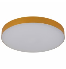 Накладной светильник Эра Relict 38 SPB-6-40 4К MG Relict