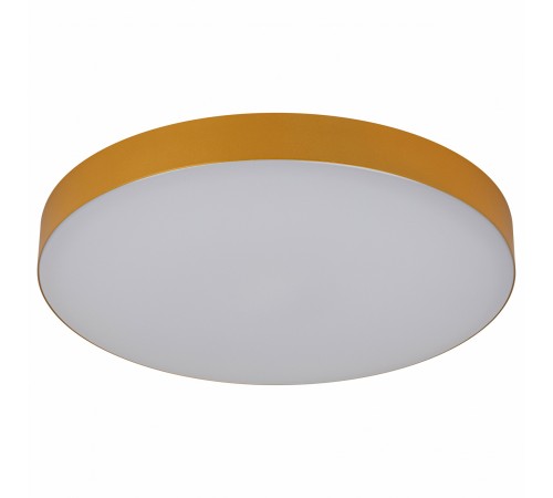 Накладной светильник Эра Relict 38 SPB-6-40 4К MG Relict