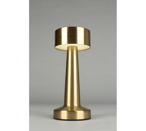 Настольная лампа декоративная Aployt APL.671.04.01 Perrayn