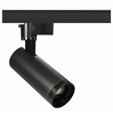 Светильник на штанге Эра TR59 - 3030 BK