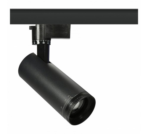 Светильник на штанге Эра TR59 - 3030 BK