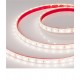 Лента светодиодная Arlight 033788 RTW герметичная