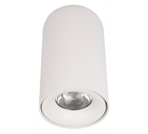 Накладной светильник Loft it 10220 White 4000K Tictac