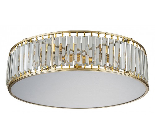 Накладной светильник Escada 2116/4 Unona