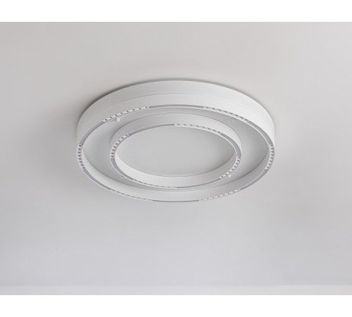 Накладной светильник Ambrella Light FL5821 FL