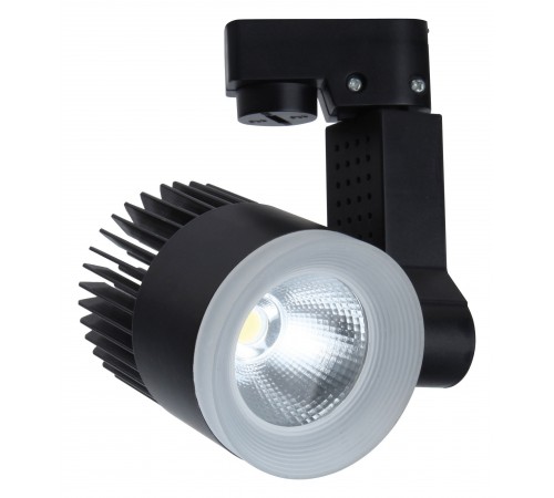 Светильник на штанге Escada 20030TRA/02LED SBK 20030