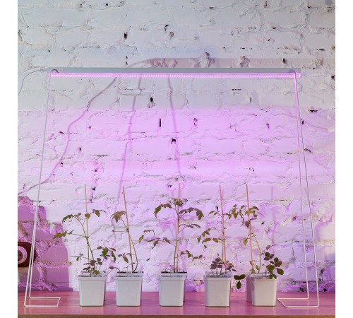 Светильник для растений Uniel UL-00008921 ULI-P21