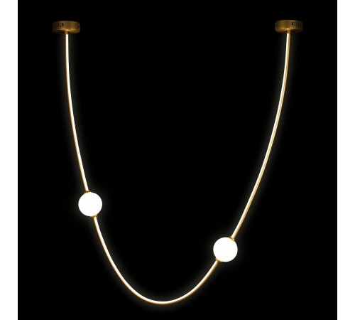 Подвесной светильник Loft it 10242/800 Gold Embrace