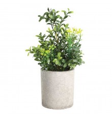 Растение в горшке (150x250) Chitose 428025