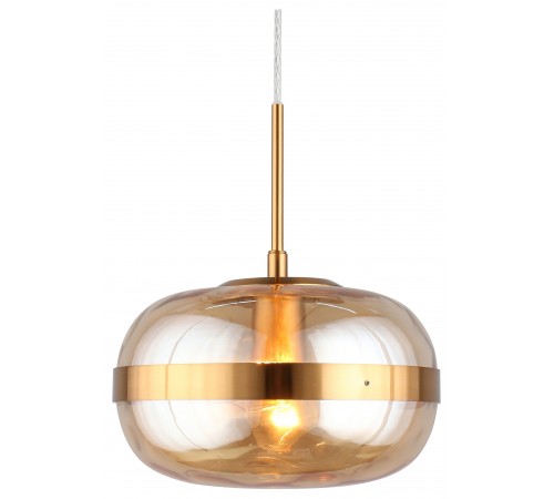 Подвесной светильник Aployt APL.305.16.01 Gabriela