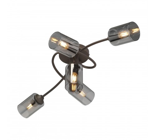 Потолочная люстра Vitaluce V2048-7/5PL V2048