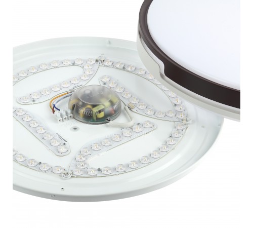 Накладной светильник Эра SPB-6-70-RC Sance Классик