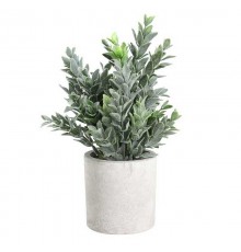 Растение в горшке (160x220) Chitose 428027