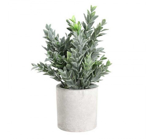 Растение в горшке (160x220) Chitose 428027