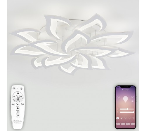 Потолочная люстра Natali Kovaltseva LED LAMPS 81335 Olimp