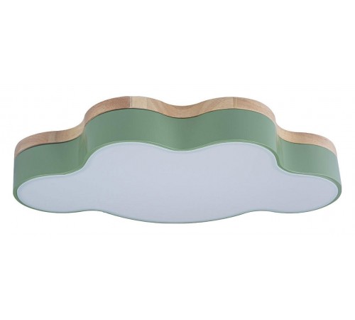 Накладной светильник Loft it 10005/30 Green Axel 4