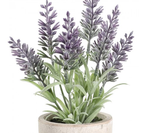 Растение в горшке (80x220) Chitose 428031