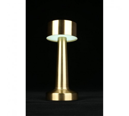 Настольная лампа декоративная Aployt APL.671.04.01 Perrayn