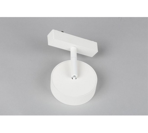 Светильник на штанге Aployt APL.0119.10.09 Magnetic track 48