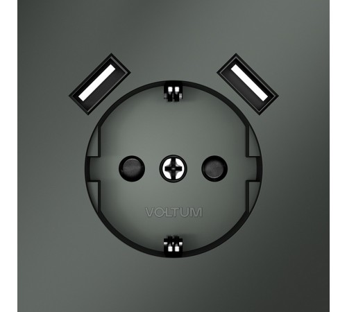 Розетка с заземлением и со шторкой и 2хUSB type A, без рамки Voltum VLS040406 S70