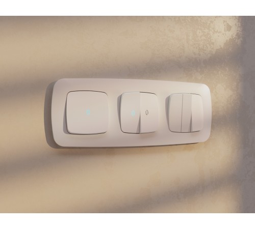 Клавиша для выключателя одноклавишного c подсветкой Quant OP2020