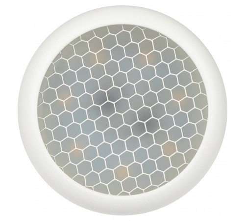 Спот Эра OL55 WH