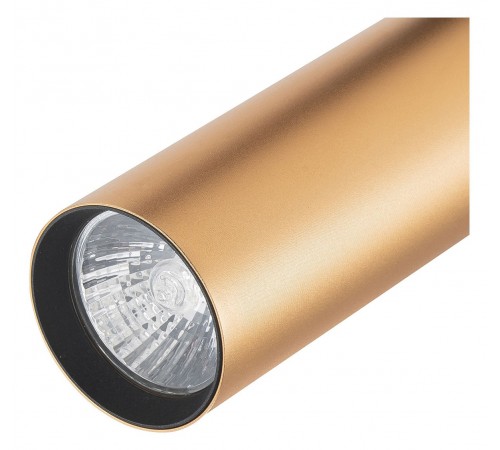 Светильник на штанге Escada 20001TRA/02 BR 20001