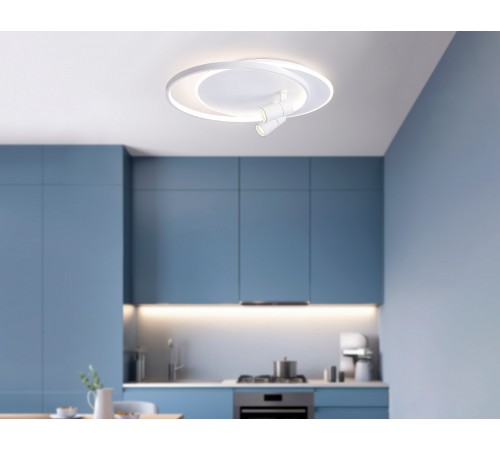 Накладной светильник Ambrella Light FL51391 FL