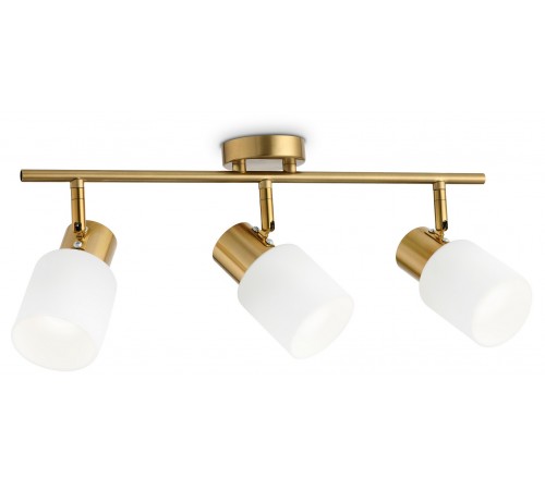 Спот Ambrella Light TR3972 TR