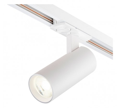 Светильник на штанге Escada 20002TRA/02LED SWH 20002