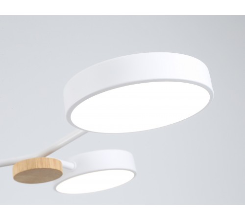 Люстра на штанге Ambrella Light FL4858 FL