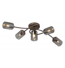 Потолочная люстра Vitaluce V2048-7/5PL V2048