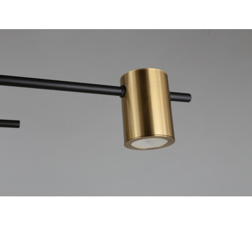 Потолочная люстра Aployt APL.633.07.08 Elwisia