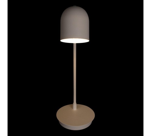 Настольная лампа офисная Loft it 10144 White Tango